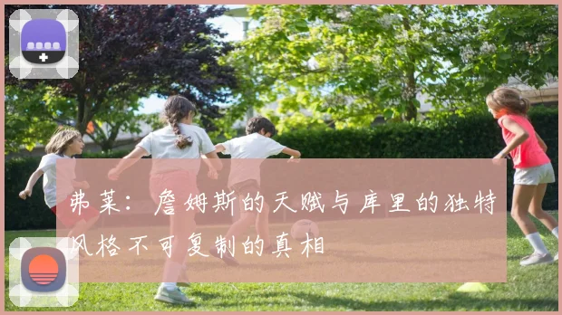 弗莱：詹姆斯的天赋与库里的独特风格不可复制的真相