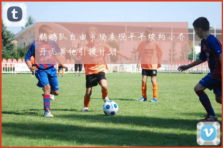 鹈鹕队自由市场表现平平续约小乔丹无其他引援计划